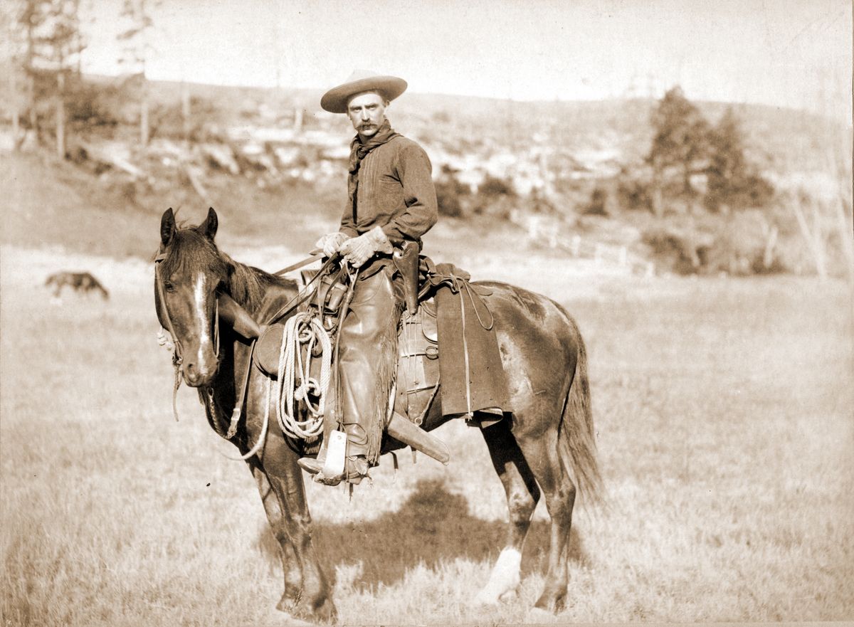 Cowboy on horseback, photograph by J.C.H. Grabill, 1887
