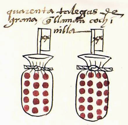 Codex Mendoza detail of a bag filled with red cochineal grains, a tribute item