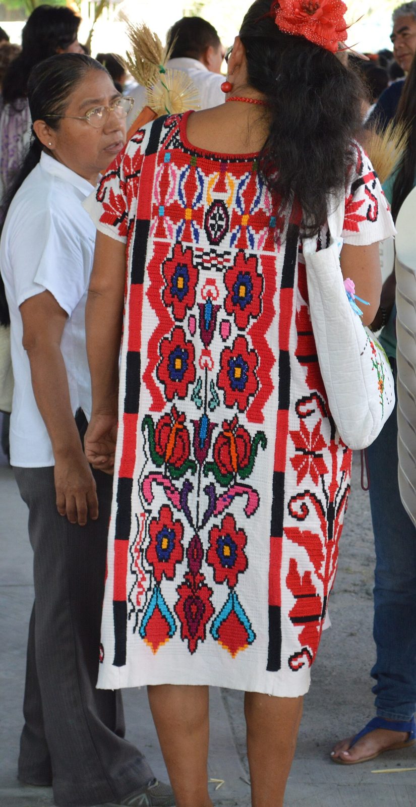 Back view of a woman wearing a white huipil densely embroidered with red, black, and multicolored flowers and stripes, at a gathering in Tuxtepec, Oaxaca