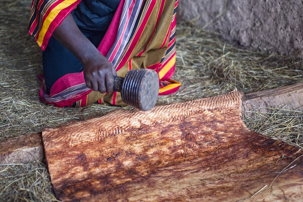Barkcloth maker beating a sheet of reddish-brown fig bark cloth with a grooved wooden mallet
