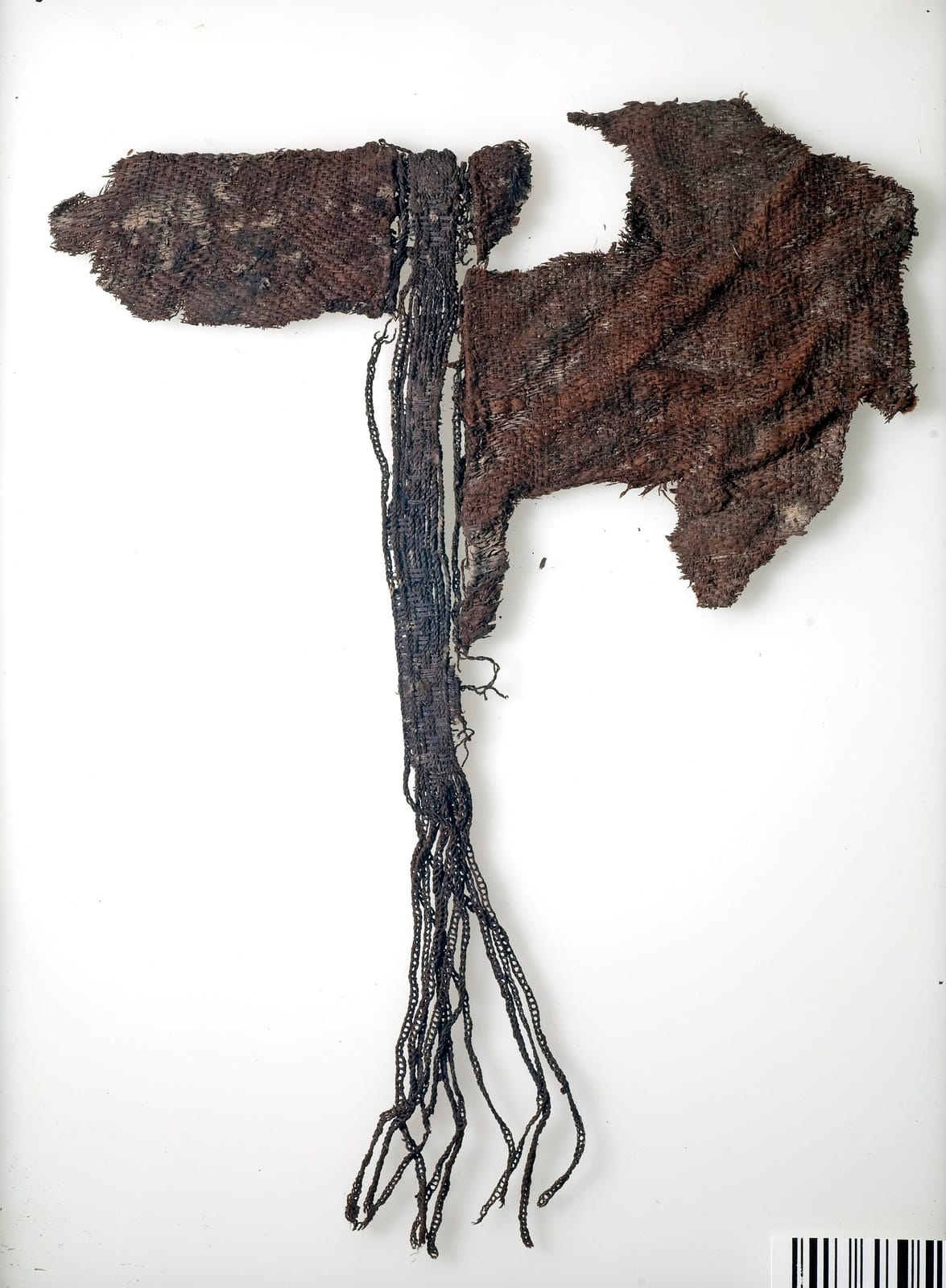 Fragment of dark brown silk textile with a band of braided silk cords hanging down from it